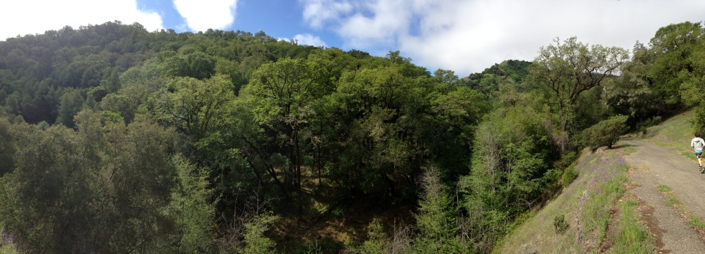 Lake Sonoma 50 - cloud break